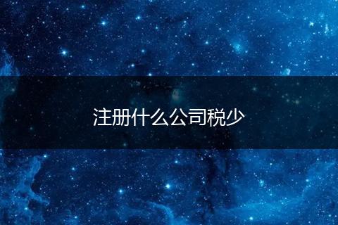 注册什么公司税少