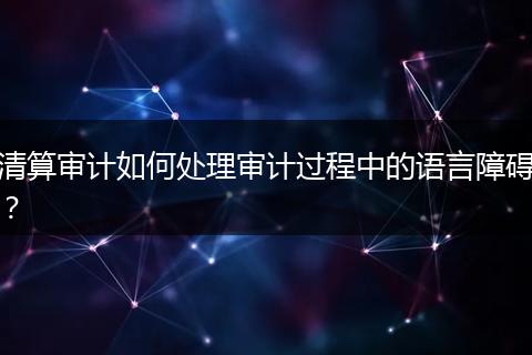 清算审计如何处理审计过程中的语言障碍？
