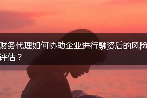 财务代理如何协助企业进行融资后的风险评估？