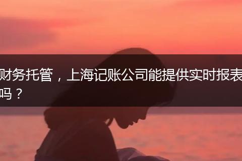 财务托管，上海记账公司能提供实时报表吗？