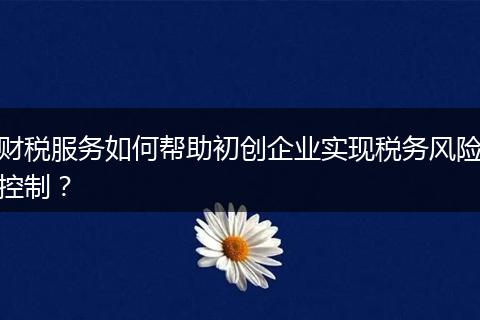 财税服务如何帮助初创企业实现税务风险控制？