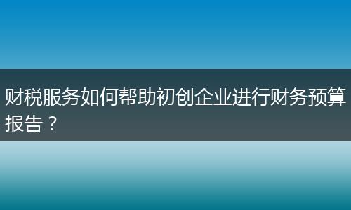 财税服务如何帮助初创企业进行财务预算报告？