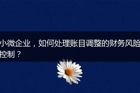 小微企业，如何处理账目调整的财务风险控制？