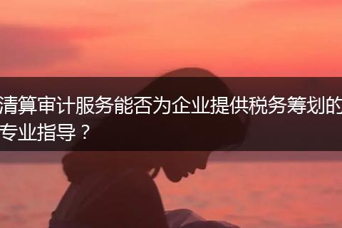 清算审计服务能否为企业提供税务筹划的专业指导？