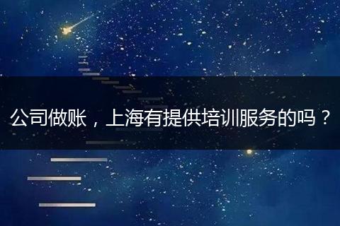 公司做账，上海有提供培训服务的吗？