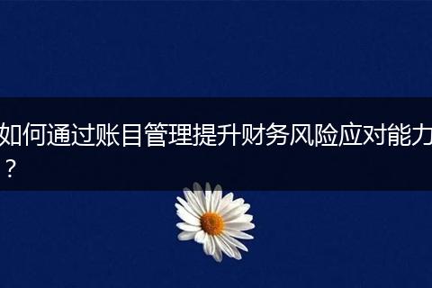如何通过账目管理提升财务风险应对能力？
