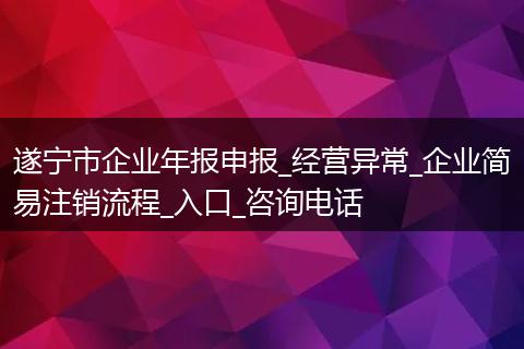 遂宁市企业年报申报_经营异常_企业简易注销流程_入口_咨询电话
