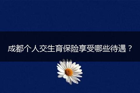 成都个人交生育保险享受哪些待遇？