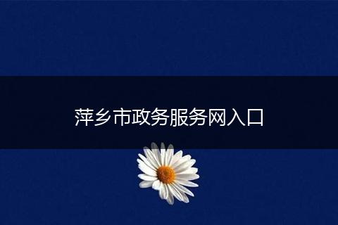 萍乡市政务服务网入口