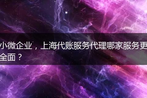 小微企业，上海代账服务代理哪家服务更全面？