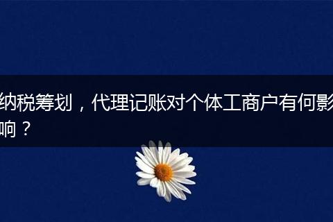 纳税筹划，代理记账对个体工商户有何影响？