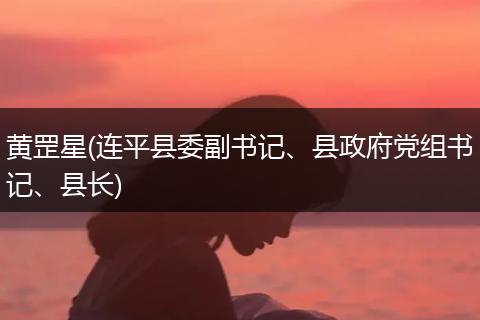 黄罡星(连平县委副书记、县政府党组书记、县长)