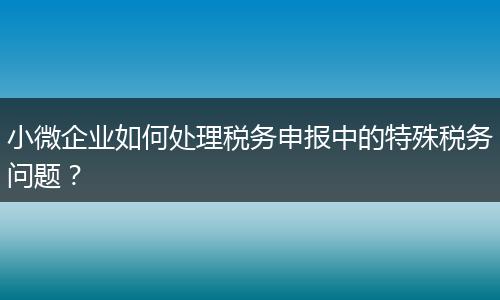 小微企业如何处理税务申报中的特殊税务问题？