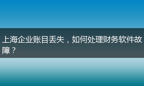 上海企业账目丢失，如何处理财务软件故障？