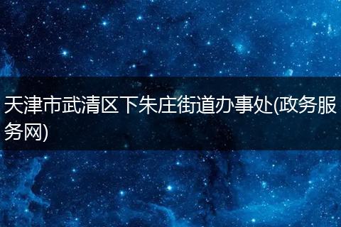 天津市武清区下朱庄街道办事处(政务服务网)