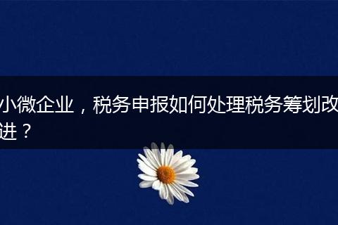 小微企业，税务申报如何处理税务筹划改进？