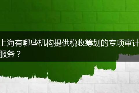 上海有哪些机构提供税收筹划的专项审计服务？
