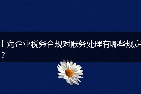 上海企业税务合规对账务处理有哪些规定？