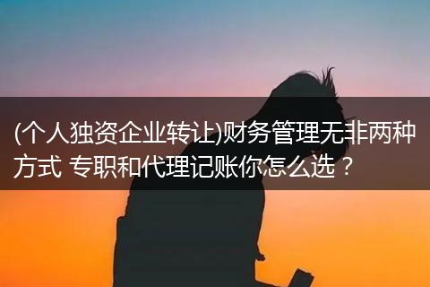 (个人独资企业转让)财务管理无非两种方式 专职和代理记账你怎么选?