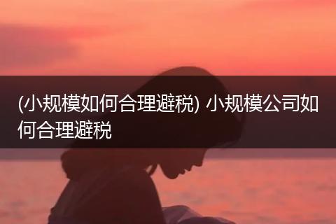 (小规模如何合理避税) 小规模公司如何合理避税