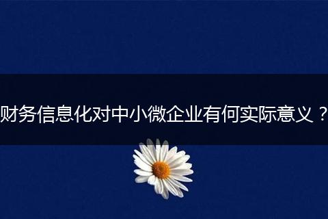 财务信息化对中小微企业有何实际意义？