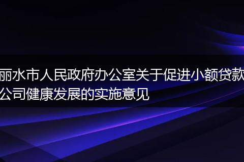 丽水市人民政府办公室关于促进小额贷款公司健康发展的实施意见