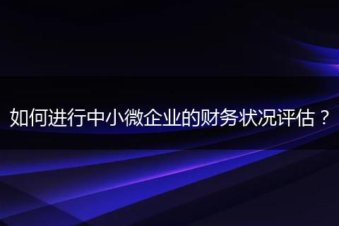 如何进行中小微企业的财务状况评估？