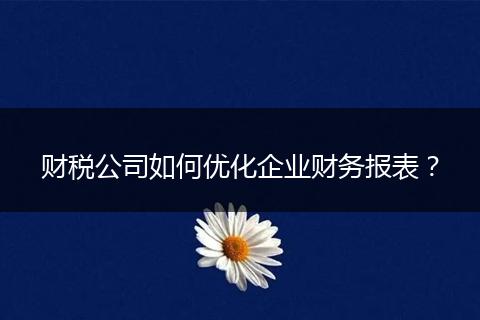 财税公司如何优化企业财务报表？