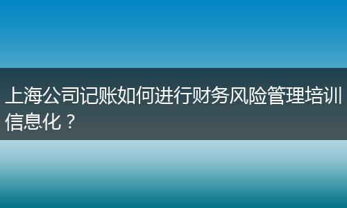 上海公司记账如何进行财务风险管理培训信息化？