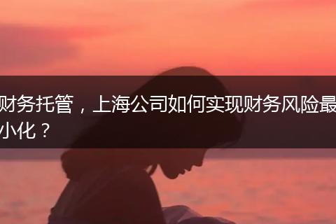 财务托管,上海公司如何实现财务风险最小化?