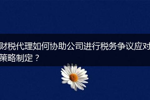 财税代理如何协助公司进行税务争议应对策略制定?