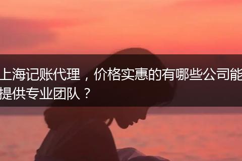 上海记账代理,价格实惠的有哪些公司能提供专业团队?