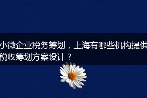 小微企业税务筹划，上海有哪些机构提供税收筹划方案设计？