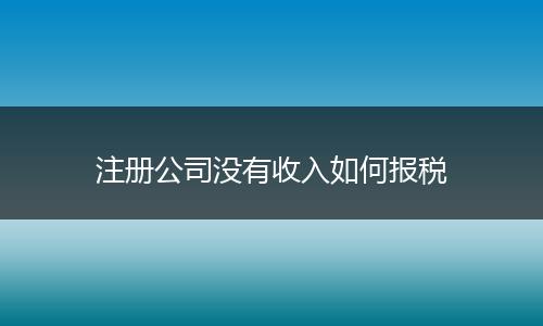 注册公司没有收入如何报税