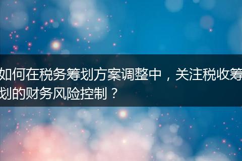 如何在税务筹划方案调整中，关注税收筹划的财务风险控制？