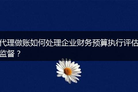 代理做账如何处理企业财务预算执行评估监督？