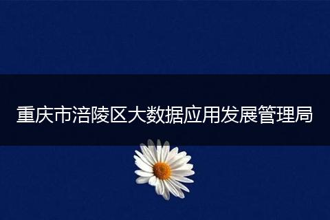 重庆市涪陵区大数据应用发展管理局