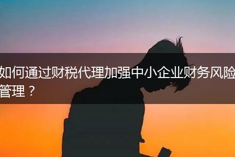 如何通过财税代理加强中小企业财务风险管理？
