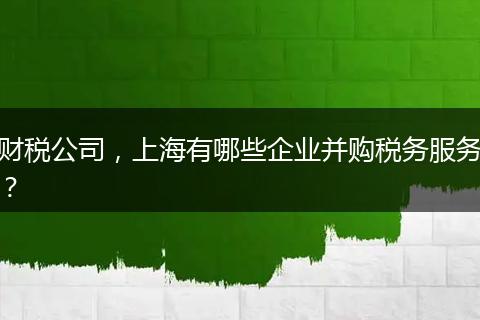 财税公司，上海有哪些企业并购税务服务？