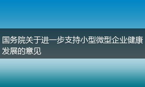 国务院关于进一步支持小型微型企业健康发展的意见