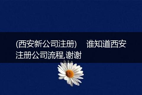 (西安新公司注册)    谁知道西安注册公司流程,谢谢
