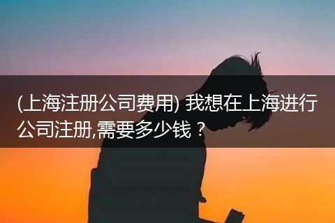(上海注册公司费用) 我想在上海进行公司注册,需要多少钱？