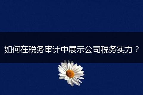如何在税务审计中展示公司税务实力？