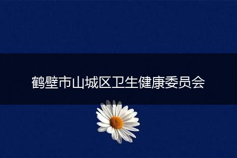 鹤壁市山城区卫生健康委员会