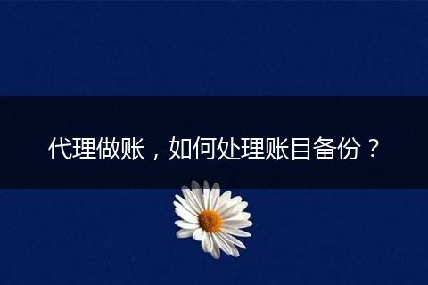 代理做账，如何处理账目备份？