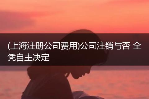(上海注册公司费用)公司注销与否 全凭自主决定
