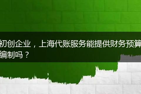 初创企业，上海代账服务能提供财务预算编制吗？