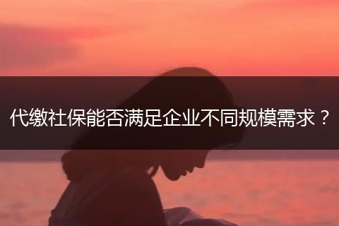 代缴社保能否满足企业不同规模需求？