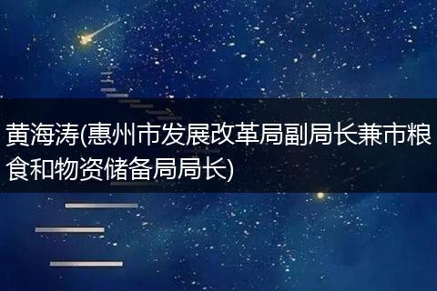 黄海涛(惠州市发展改革局副局长兼市粮食和物资储备局局长)