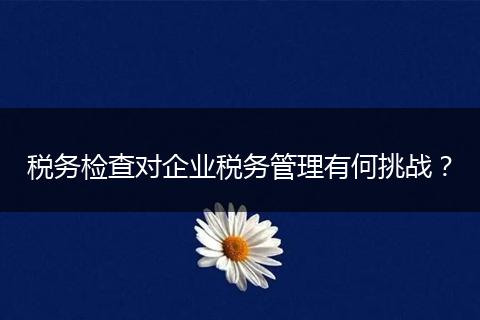 税务检查对企业税务管理有何挑战?